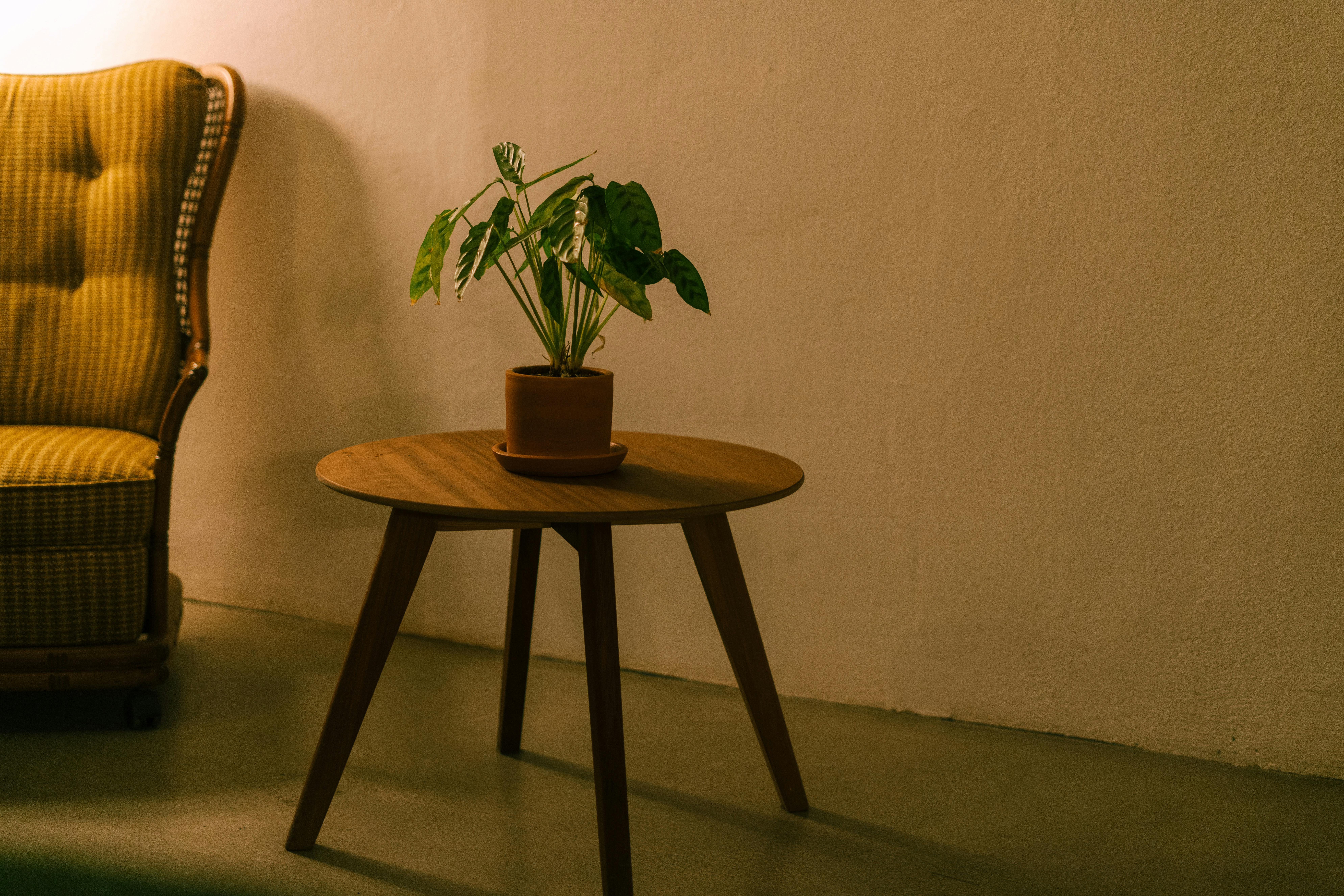 Warm, inviting interior space